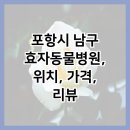 효자 동물병원 이미지