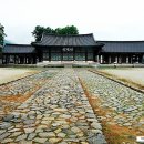금성관광주