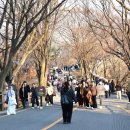 HI-DS 카서비스 이미지