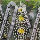 성애문구 이미지