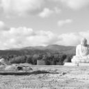 구릉공원 이미지