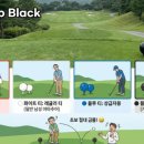 더블랙티골프