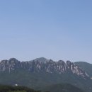 (주)고코투어