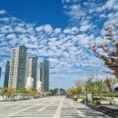 나성동 836 도시상징광장 이미지