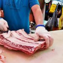 양지축산 이미지