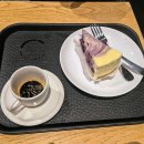 스타벅스충주시청DT점 | 충주시, 스타벅스 충주시청DT점에서 즐기는 특별한 커피의 순간 ☕