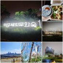 마포새빛문화숲 | 마포새빛문화숲 산책 후기｜벚꽃부터 불꽃축제까지, 한강뷰 숨은 명소