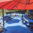 백화화원 이미지