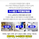 씨티빌모텔