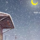 궁금한식당 이미지