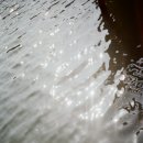 동읍587 | 미놀타 x-300 필름스캔