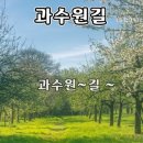 과수원길 노래 탄생 사연 이미지