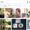 정돌이네 이미지