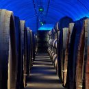 신세계길벗고속관광 | 연태 여행 코스 2박 3일 일정 총정리: 39만 원으로 떠나는 직장인 주말 여행, 연타이 공항 라운지