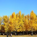 배 타고 떠나는 단풍섬 여행!&#34; 섬 전체가 포토존 그 자체인 가을 나들이 명소 이미지