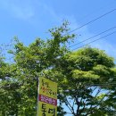 동달안길 | 부모님과 통영 여행- 용남면 통영 생선구이 내돈내산 후기(3인상, 예약 방법, 생선불호자시점)