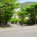 대천리초등학교 이미지