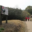 처연의 소리 이미지