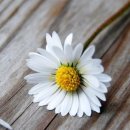 위시메디칼 이미지