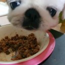 수영종합동물병원 이미지