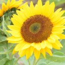 대웅공인중개사사무소 이미지