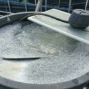 딸기엄마양파아빠 이미지