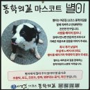 여강길(11코스 동학의길) 티스토리