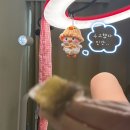 (유) 성산주유소 화장실 | [창원] 왁싱샵 설아뷰티에서 브라질리언왁싱 성공적