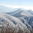 하남시청 농구장 앞 이미지