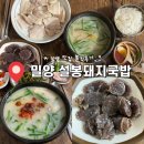 밀양9 | 맛있는 거 좋아하는 대구 신혼부부의 일상 시리즈 #9│밀양 국밥 맛집 설봉돼지국밥 솔직후기