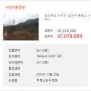 고평주유소 이미지