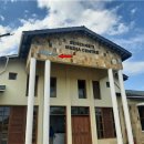 세렝게티 이미지