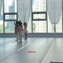 우리아이 성장발레B 이미지