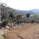 여주-0336 이미지