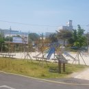 삼호중앙초등학교 이미지