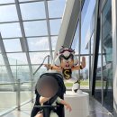전남도립미술관 | 광양 전남도립미술관 후기🖼️ 15개월 아기와 함께한 조용한 문화 나들이