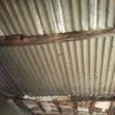 온양역길 이미지