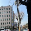 변호사정별님법률사무소 이미지