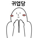 원당애견미용 이미지