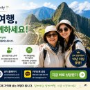 정직한여행주