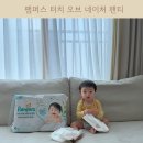 ㈜퓨어네이처 | 신제품 팸퍼스 2026 터치 오브 네이처 팬티 4단계 사용해보았어요