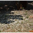 이성군묘 이미지