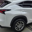 덴트Q | 도어 복원 수리] 렉서스 NX200T 조수석 도어 찌그러짐 복원｜롯데백화점 주차장 사고 판금 도색 덴트 후기