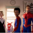 (주)뉴유니버스 이미지