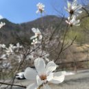 산솔 캠핑장 이미지