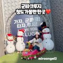 청도소싸움테마파크 | 청도 가볼 만한 곳 경북 루지 끝판왕 군파크 루지 체험 후기 국내 최장 1.88km