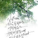 인생을 글로 쓰다 이미지