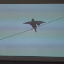 아트센터화이트블럭 이미지