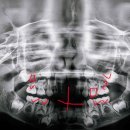 도치소아치과의원 이미지