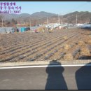 신양보건진료소 이미지